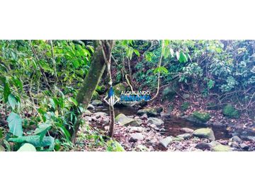 En venta hermosa finca con casa incluida, para proyecto turístico/agro