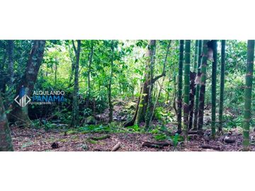 En venta hermosa finca con casa incluida, para proyecto turístico/agro