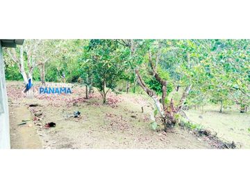 En venta hermosa finca con casa incluida, para proyecto turístico/agro