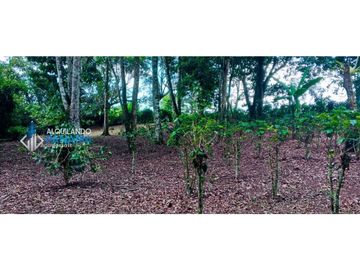 En venta hermosa finca con casa incluida, para proyecto turístico/agro