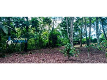 En venta hermosa finca con casa incluida, para proyecto turístico/agro