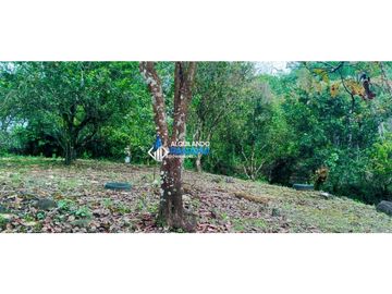 En venta hermosa finca con casa incluida, para proyecto turístico/agro