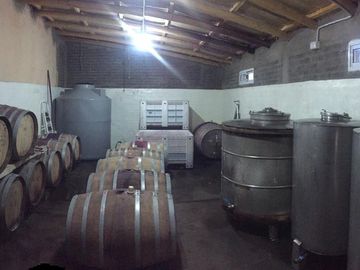 Finca Algodon con Casa - San Rafael