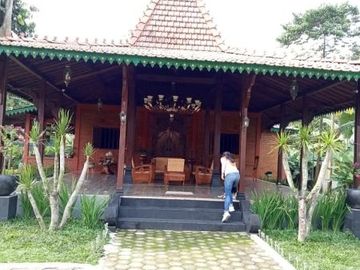 Rumah Joglo Unik di Kawasan Sejuk dan Asri : Bisa Custom Model Joglo