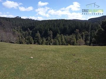 Agrícola en Venta en Cercano a la ciudad