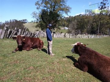 Agrícola en Venta en Cercano a la ciudad