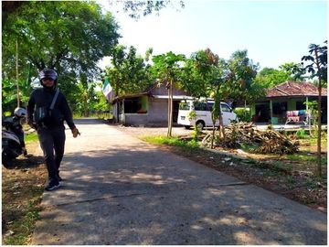 Tanah dijual Sentolo; Bangun kost maupun Hunian, profit Naik