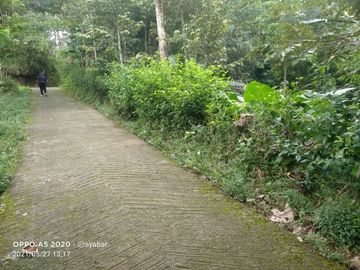 Tanah kemuning ngargoyoso 1030meter 250jt ada pohon durian