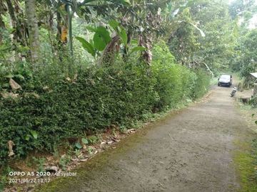 Tanah kemuning ngargoyoso 1030meter 250jt ada pohon durian