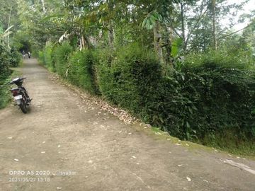 Tanah kemuning ngargoyoso 1030meter 250jt ada pohon durian
