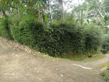 Tanah kemuning ngargoyoso 1030meter 250jt ada pohon durian