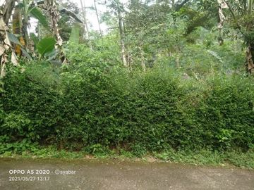 Tanah kemuning ngargoyoso 1030meter 250jt ada pohon durian