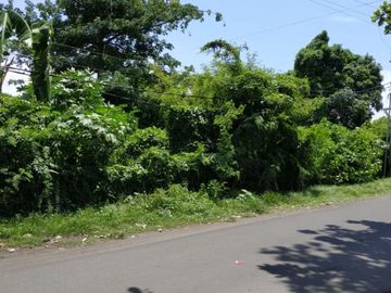Land at Jalan Majapahit