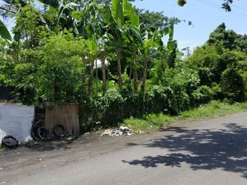 Land at Jalan Majapahit