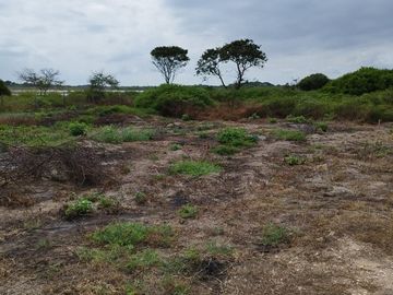 Se Vende Terreno para Construcción Frente al Mar en Vía Playas Posorja