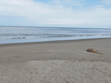 Se Vende Terreno para Construcción Frente al Mar en Vía Playas Posorja