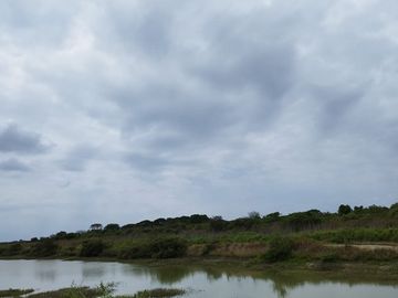 Se Vende Terreno para Construcción Frente al Mar en Vía Playas Posorja