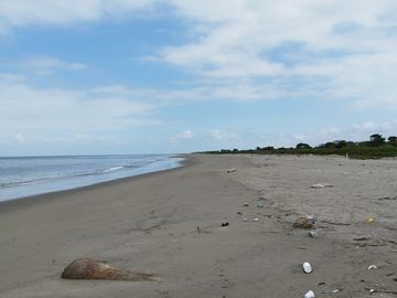 Se Vende Terreno para Construcción Frente al Mar en Vía Playas Posorja