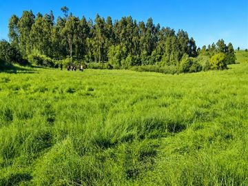 Parcelas a media hora de Pichilemu Crédito entrega inmediata