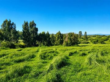 Parcelas a media hora de Pichilemu Crédito entrega inmediata