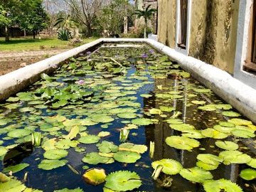 Hacienda en Venta en Kankabchen, Mérida, Yucatán