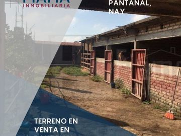 SE VENDE TERRENO EN PANTANAL, XALISCO, NAY.