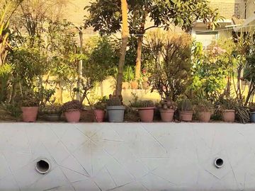 Inmueble / Casa con Local Comercial, sobre Av. 16 de Septiembre