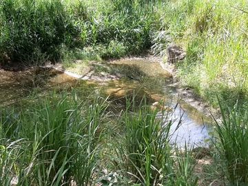 FINCA SAN JUAN DE RIOSECO VENTA O PERMUTA