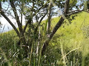 FINCA SAN JUAN DE RIOSECO VENTA O PERMUTA
