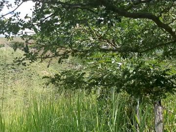 FINCA SAN JUAN DE RIOSECO VENTA O PERMUTA