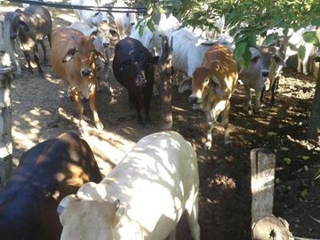 FINCA SAN JUAN DE RIOSECO VENTA O PERMUTA