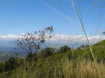 FINCA SAN JUAN DE RIOSECO VENTA O PERMUTA