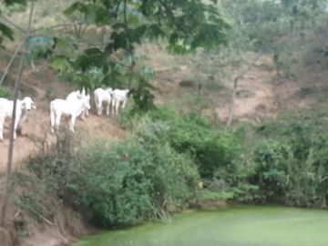 FINCA SAN JUAN DE RIOSECO VENTA O PERMUTA