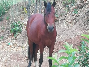 FINCA SAN JUAN DE RIOSECO VENTA O PERMUTA