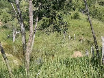 FINCA SAN JUAN DE RIOSECO VENTA O PERMUTA