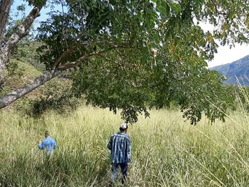 FINCA SAN JUAN DE RIOSECO VENTA O PERMUTA