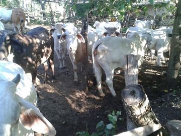 FINCA SAN JUAN DE RIOSECO VENTA O PERMUTA