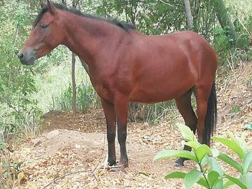 FINCA SAN JUAN DE RIOSECO VENTA O PERMUTA