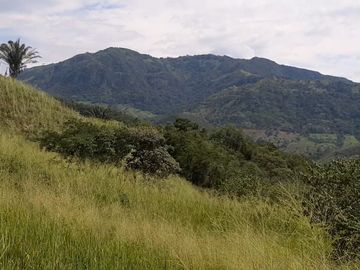 FINCA SAN JUAN DE RIOSECO VENTA O PERMUTA