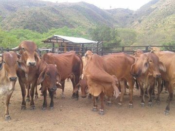 FINCA SAN JUAN DE RIOSECO VENTA O PERMUTA