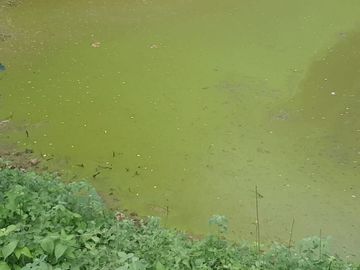 FINCA SAN JUAN DE RIOSECO VENTA O PERMUTA
