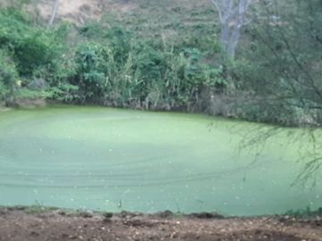FINCA SAN JUAN DE RIOSECO VENTA O PERMUTA