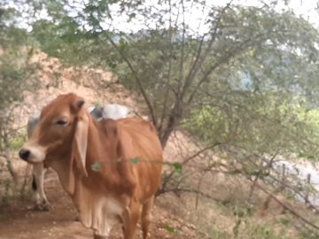 FINCA SAN JUAN DE RIOSECO VENTA O PERMUTA