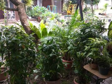 Rumah second terawat di Pd Ranji Tang Sel 1,4 M