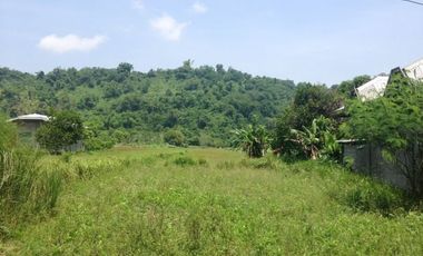 Farm Lot for sale, Naguilian, La Union, Philippines