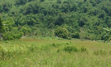 Farm Lot for sale, Naguilian, La Union, Philippines