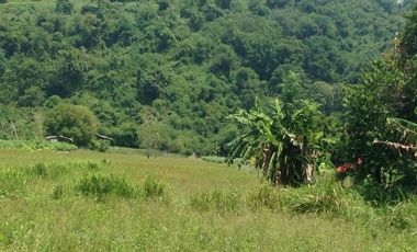 Farm Lot for sale, Naguilian, La Union, Philippines