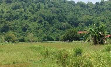 Farm Lot for sale, Naguilian, La Union, Philippines