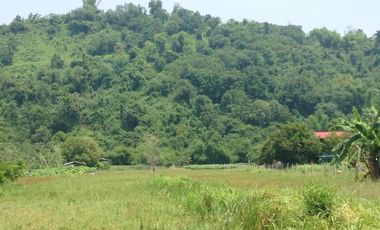 Farm Lot for sale, Naguilian, La Union, Philippines