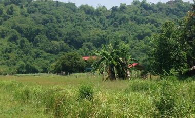 Farm Lot for sale, Naguilian, La Union, Philippines